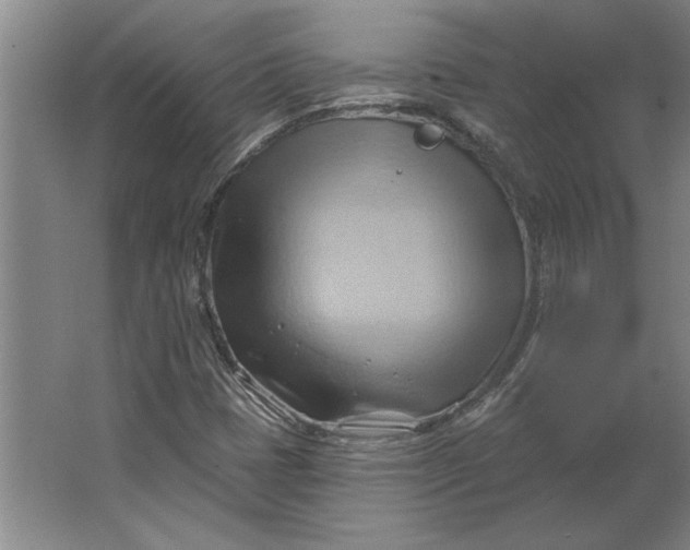 X0000062911401200601271727