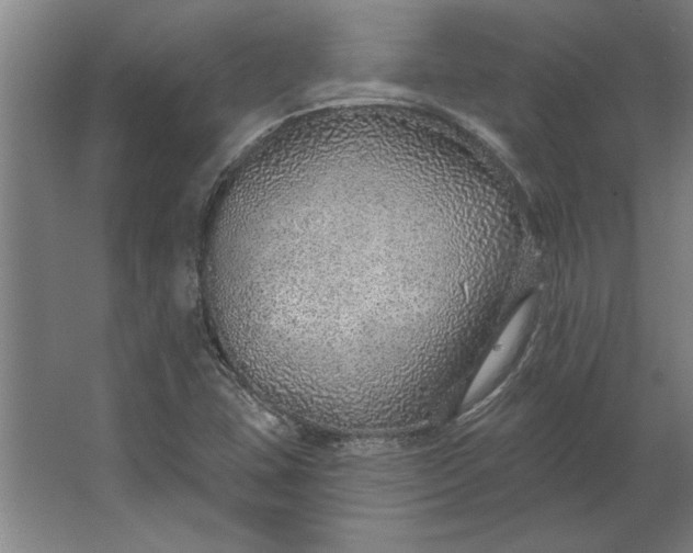 X0000062911407200601271727