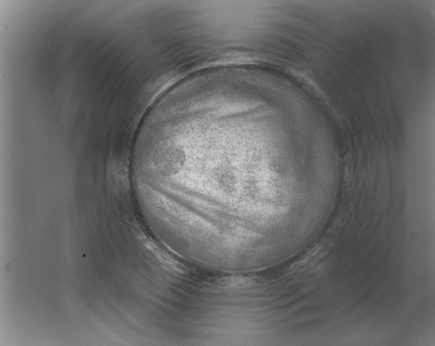 X0000062911409200601271727