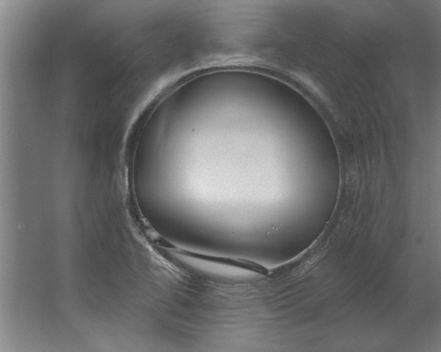 X0000062911414200601271728