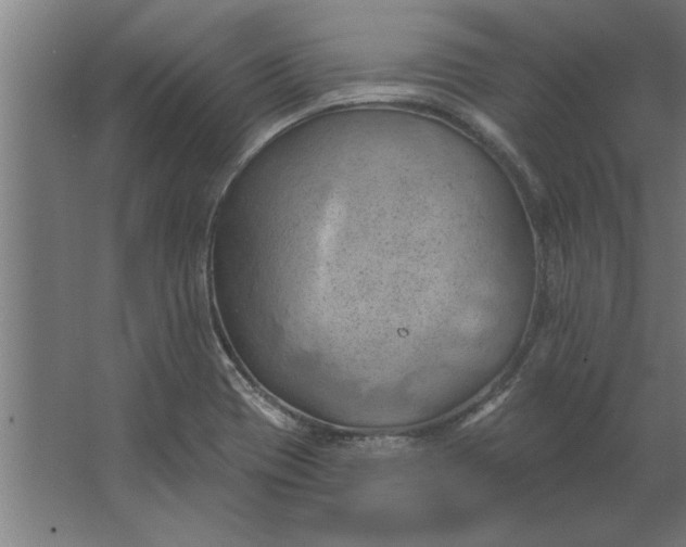 X0000062911417200601271728