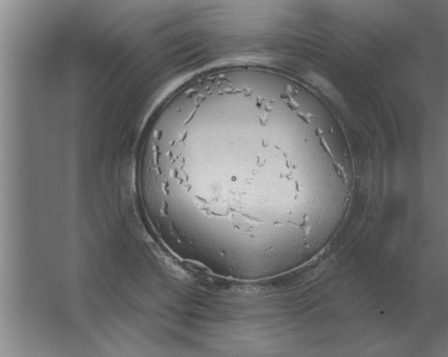 X0000062911420200601271728