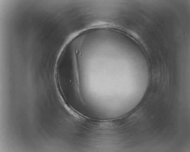 X0000062911421200601271728