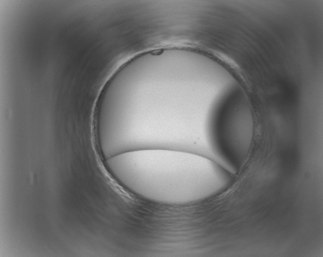 X0000062911423200601271728