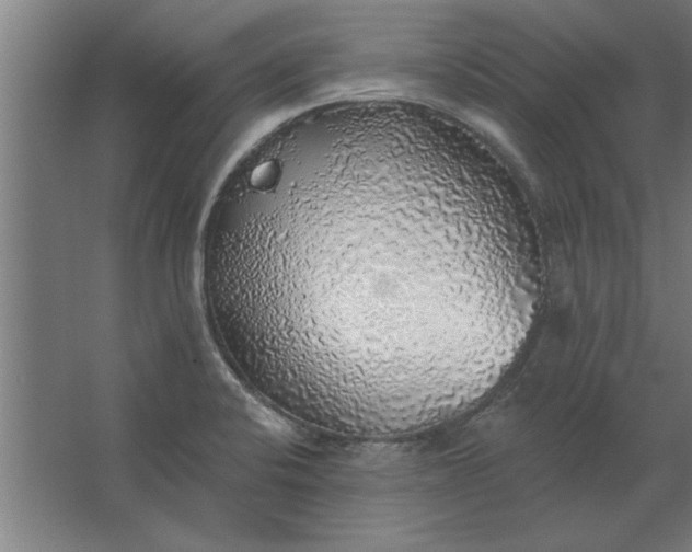 X0000062911424200601271728