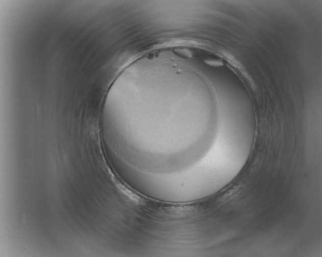 X0000062911425200601271728