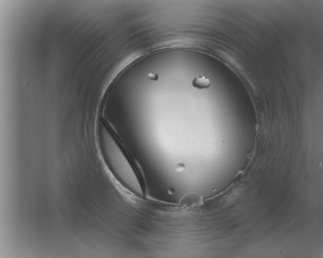 X0000062911426200601271728