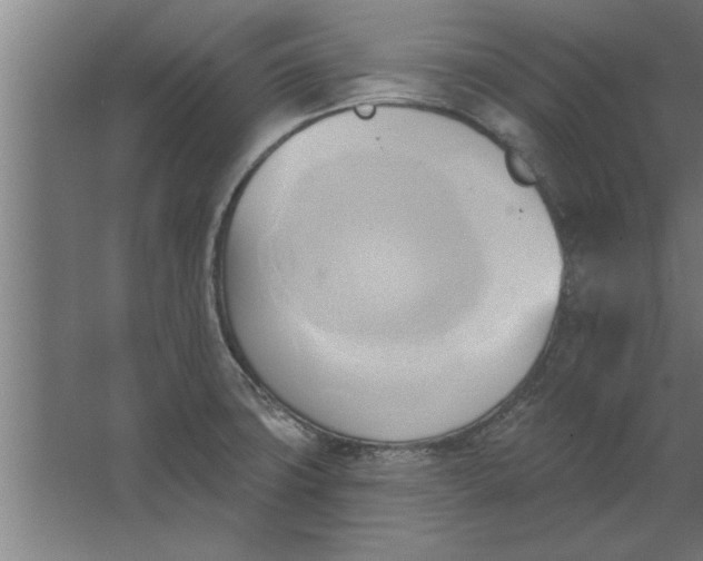 X0000062911427200601271728