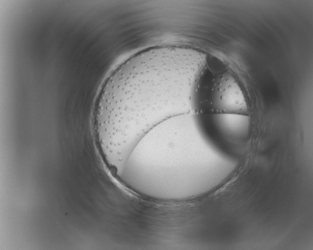 X0000062911429200601271728