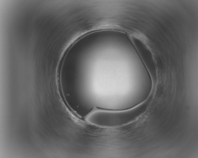 X0000062911430200601271728