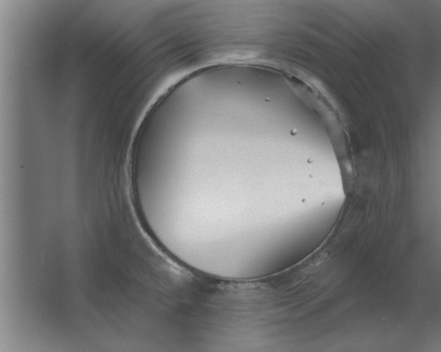 X0000062911432200601271728