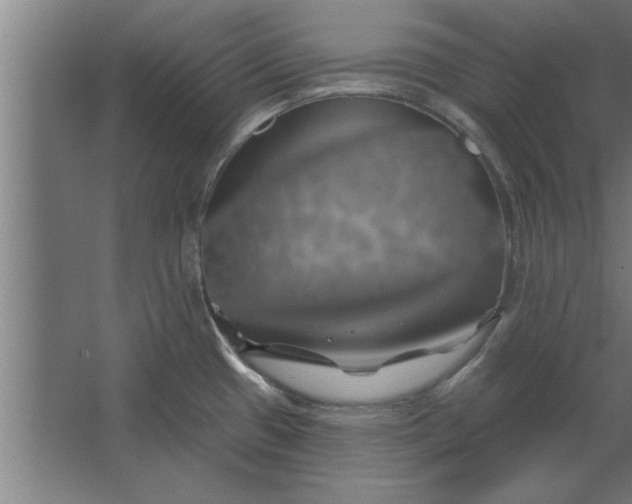 X0000062911433200601271728