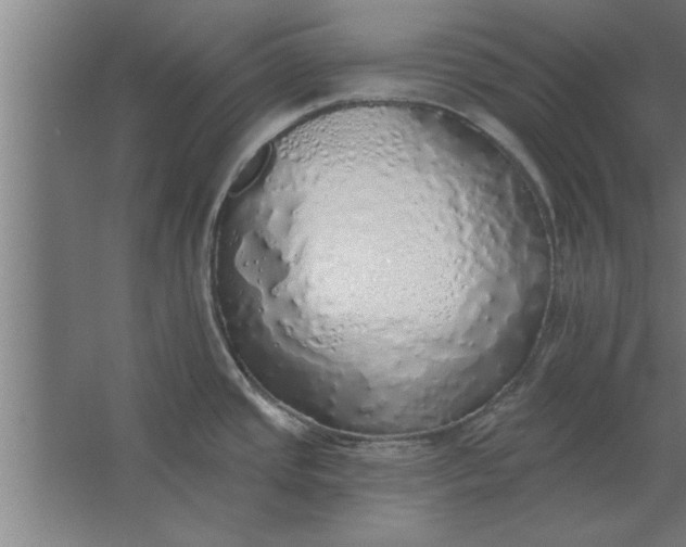 X0000062911437200601271728