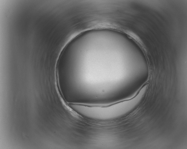 X0000062911439200601271728