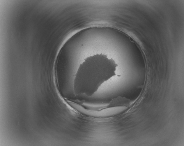 X0000062911440200601271728