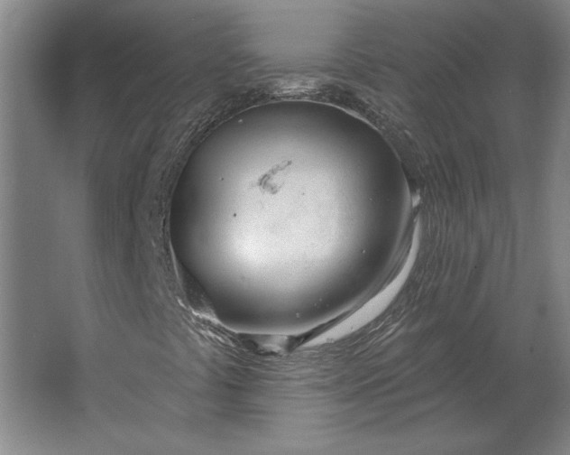 X0000062911441200601271727