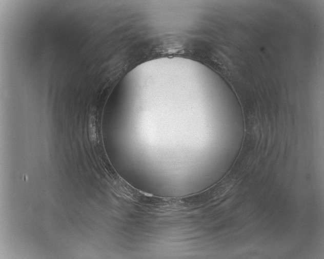 X0000062911442200601271727