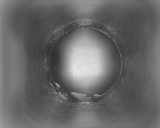 X0000062911445200601271727