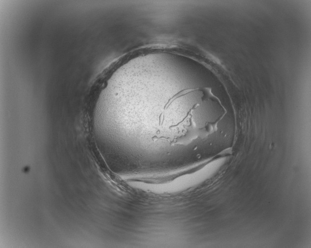 X0000062911448200601271727