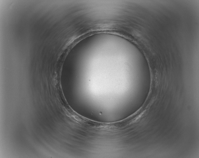 X0000062911449200601271727