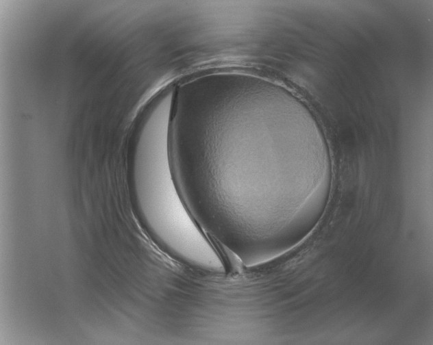 X0000062911450200601271727