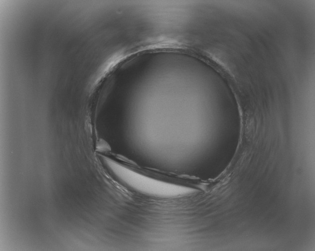 X0000062911455200601271727