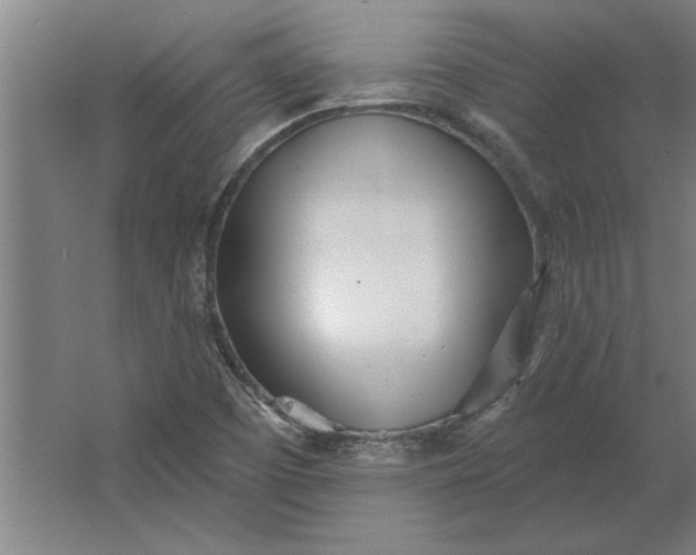 X0000062911457200601271727