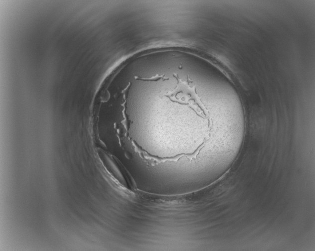 X0000062911460200601271727