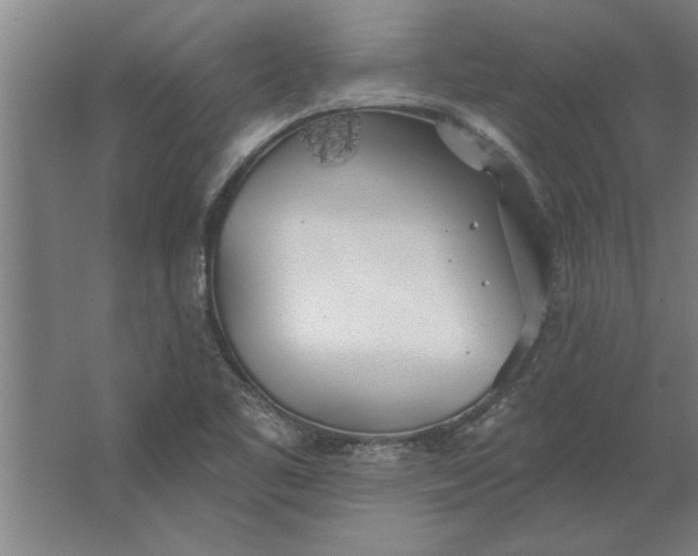 X0000062911461200601271727