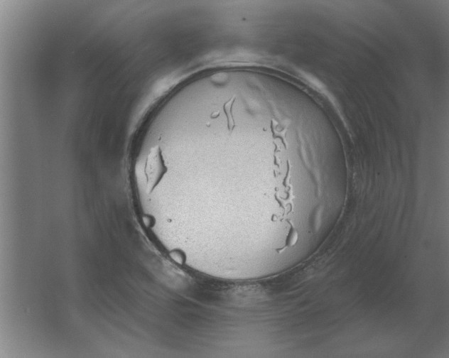 X0000062911464200601271727