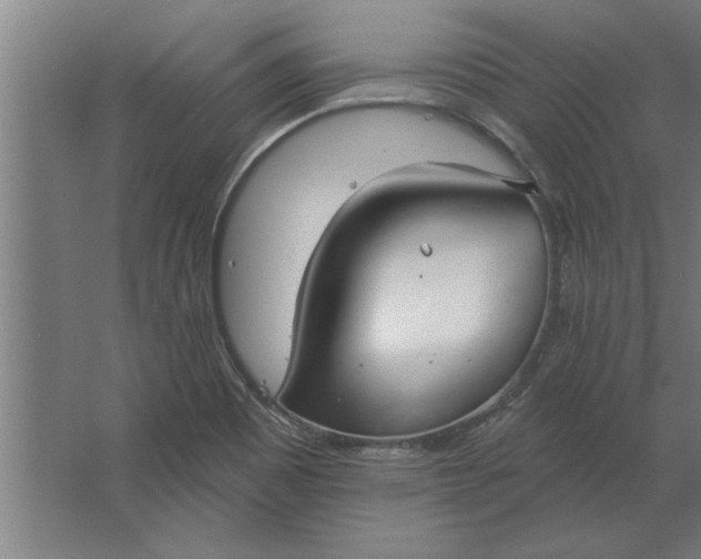 X0000062911465200601271727