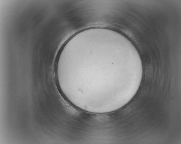 X0000062911466200601271727