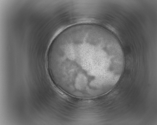 X0000062911467200601271727