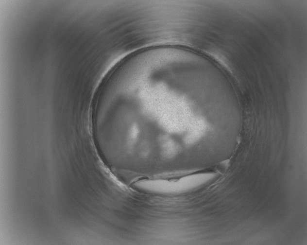 X0000062911468200601271727