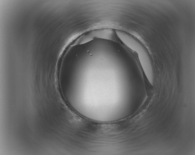 X0000062911469200601271727