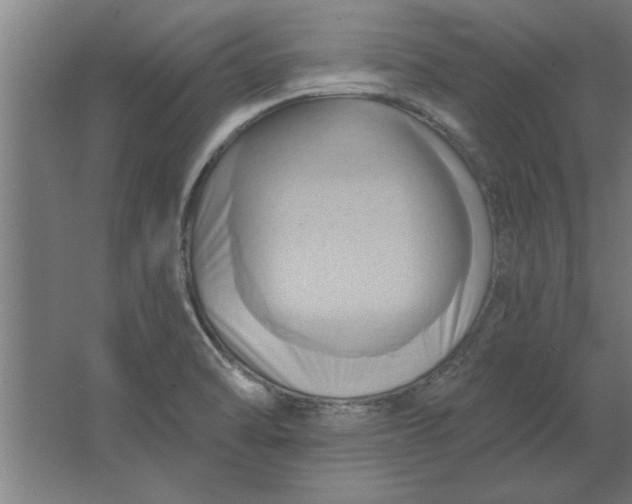 X0000062911470200601271727