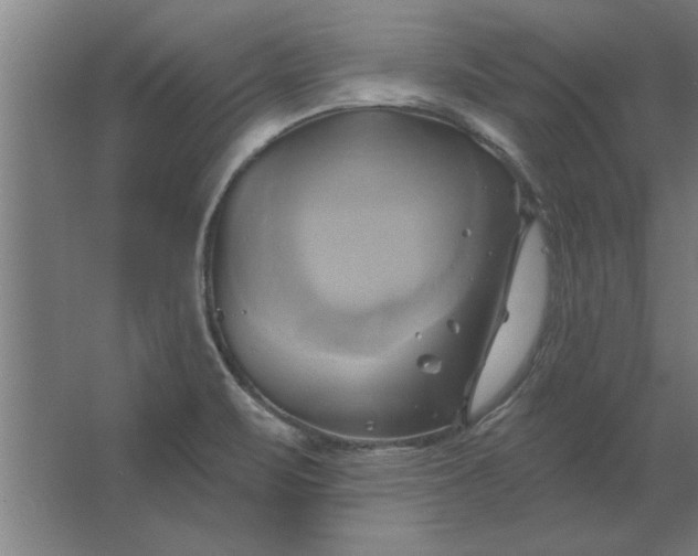 X0000062911471200601271727