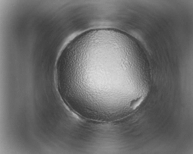 X0000062911472200601271727