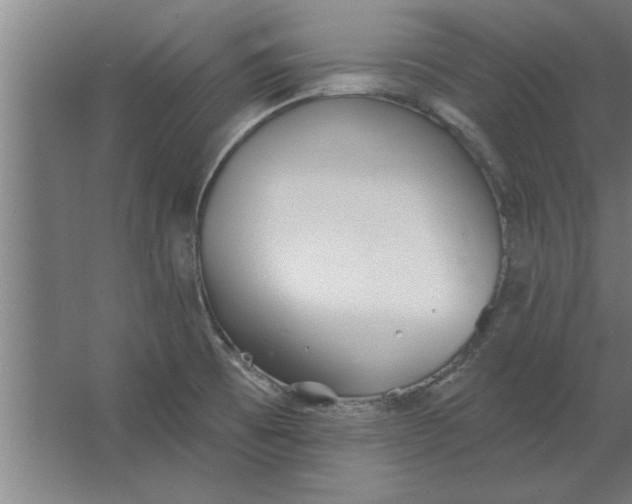 X0000062911473200601271727