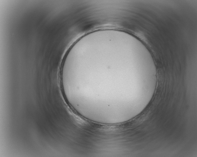 X0000062911474200601271727