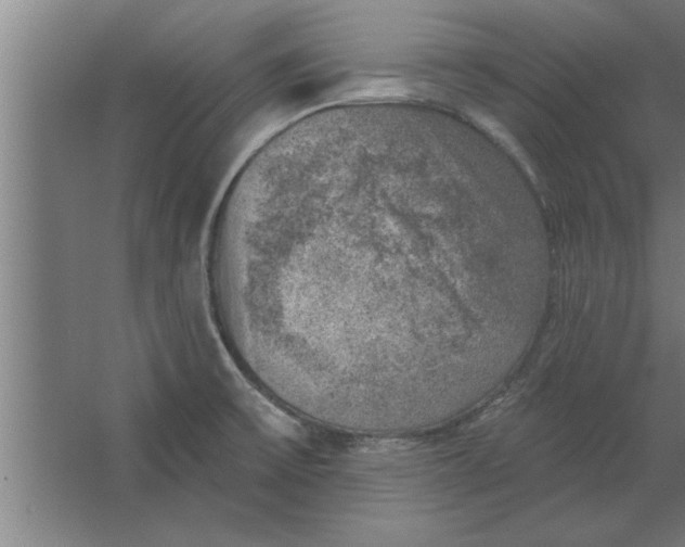 X0000062911475200601271727