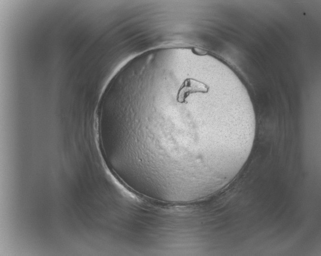 X0000062911476200601271727