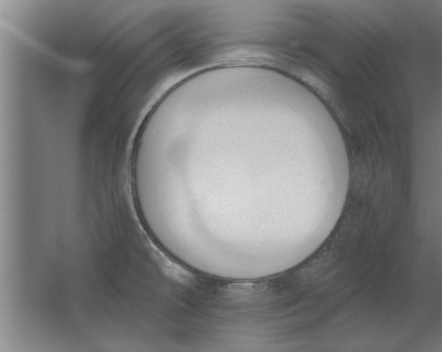 X0000062911478200601271727