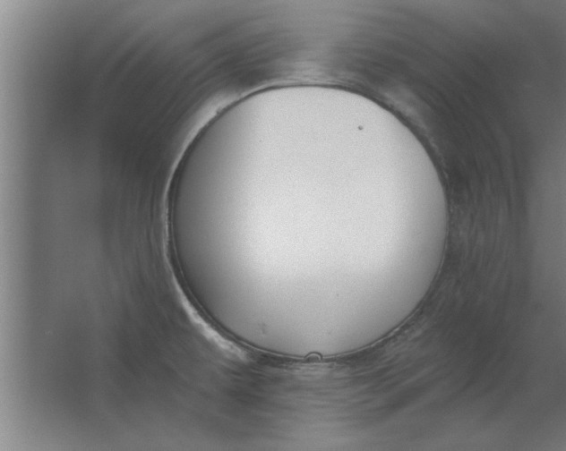 X0000062911479200601271727