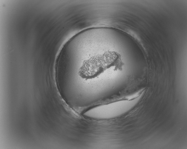 X0000062911480200601271727