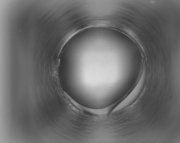 X0000062911481200601271726