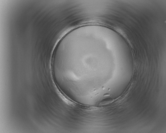 X0000062911482200601271726