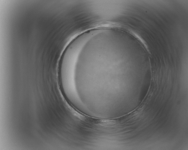 X0000062911483200601271726