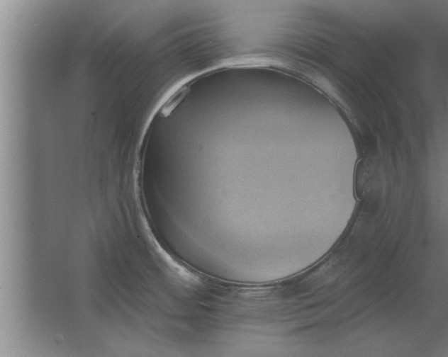 X0000062911484200601271726