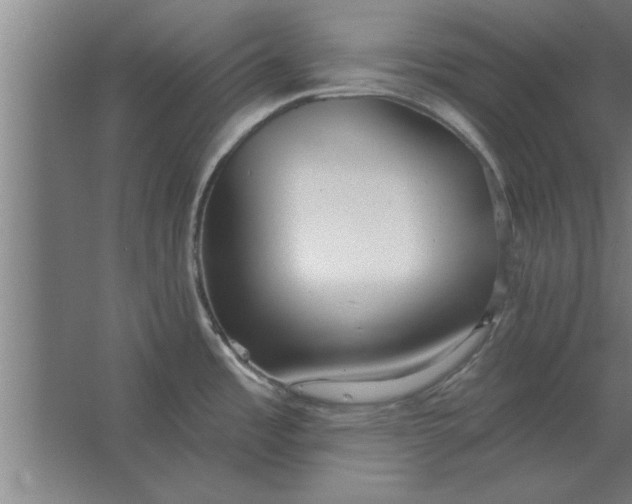 X0000062911485200601271726